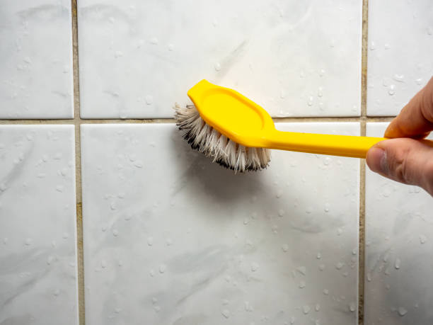 Best Mold Remediation Services  in Loma Linda, CA