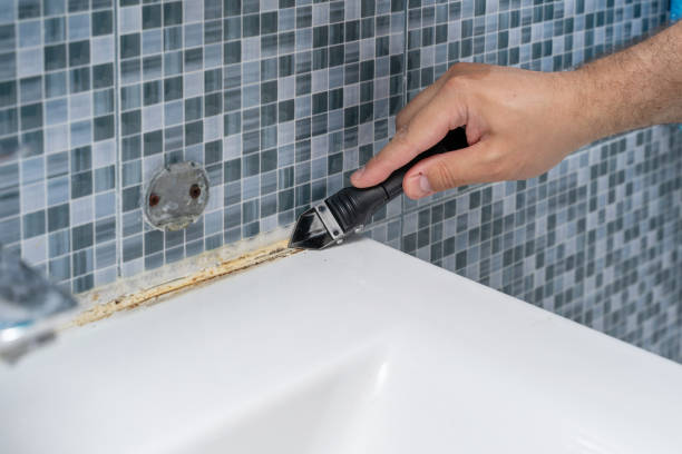Best Certified Mold Removal  in Loma Linda, CA